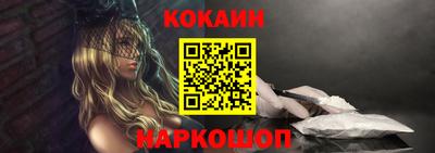 гашик Кингисепп