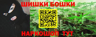 сатива Камышлов