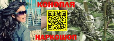 сатива Камышлов
