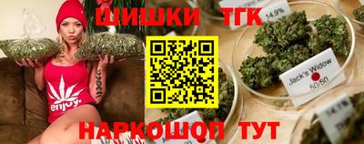 сатива Камышлов