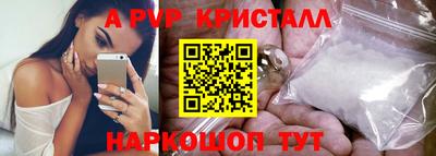 гашик Кингисепп