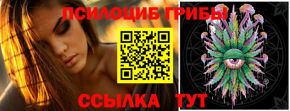 Лосино-Петровский  Псилоцибиновые грибы Cubensis  Вход с VPN 